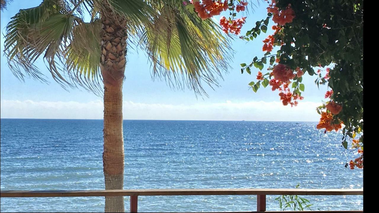 Mi Capricho C16 Beachfront Apartment Sitio de Calahonda 외부 사진